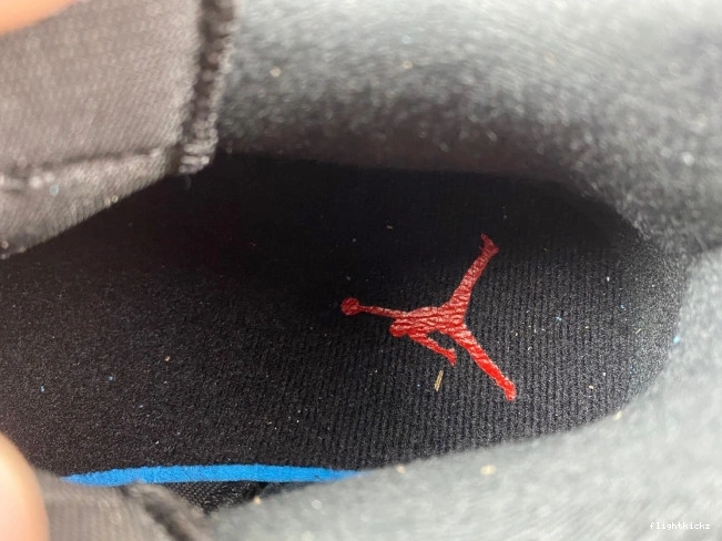 Low Jordan Bred FQ1579-006 Spizike 0716